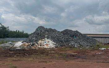 Đồng Nai: Khởi tố 2 bị can đổ chất thải da bò gây ô nhiễm môi trường