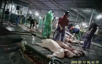 Hà Nội siết chặt kiểm soát chất lượng bữa ăn bán trú