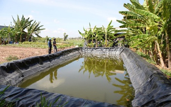 Đồng Tháp chuẩn bị xây 3 hồ trữ nước ngọt quy mô lớn