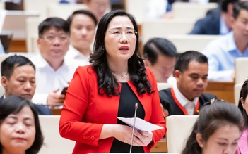 Đại biểu kiến nghị cấm xếp chương trình học liên kết xen kẽ giờ chính khóa