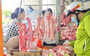 Giá heo hơi hôm nay 3.4.2026: Phục hồi ở miền Bắc