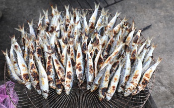 Cá trích gây 'sốt' mạng xã hội