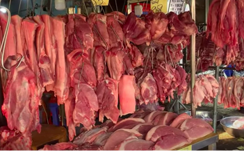 Giá heo hơi hôm nay 6.4.2026: Tăng nhẹ vài nơi 