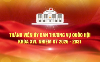 Thành viên Ủy ban Thường vụ Quốc hội khóa XVI, nhiệm kỳ 2026 - 2031
