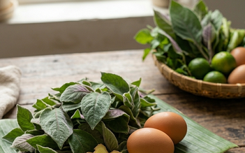 Lá mơ lông với trứng gà: Bác sĩ chỉ cách dùng hỗ trợ đại tràng