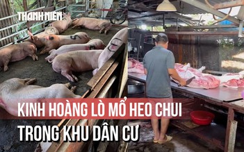 Kinh hoàng 2 lò giết mổ heo 'chui' trong hẻm sâu ở TP.HCM