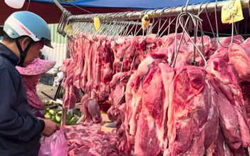 Giá heo hơi hôm nay 8.4.2026: TP.HCM lên mức cao nhất 