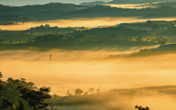 Nghỉ lễ 30.4: Ghé homestay Đà Lạt 'không cần săn mây, mây tự tìm tới'