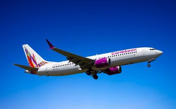 Tranh luận về quốc tịch em bé sinh ra trên không phận Mỹ