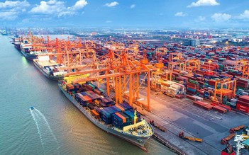TP.HCM muốn khởi công 3 siêu cảng biển tỉ USD ngay trong tháng này