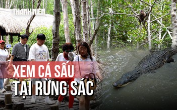 Bất ngờ với khu rừng nguyên sơ ngay tại TP.HCM