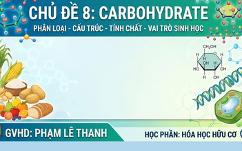 BÍ QUYẾT ÔN THI THPT 2026 | Môn hóa | Chuyên đề 8 | Carbohydrate - Phân loại, cấu trúc, vai trò sinh học