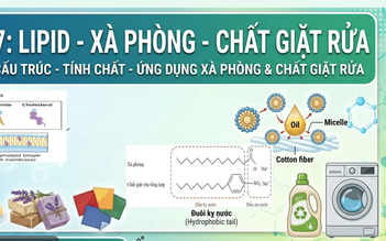 Bí quyết ôn thi tốt nghiệp THPT đạt điểm cao: Liên hệ thực tiễn môn hóa