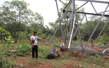 Đồng Nai: Trụ điện 110 kV không có đai ốc ngã đổ gây bất an