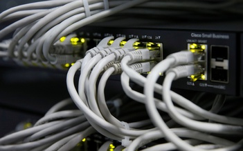 Có cần rút cáp Ethernet khỏi máy tính khi dùng Wi-Fi?
