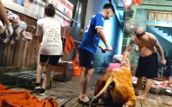 Chỉ đạo nóng sau phản ánh của Báo Thanh Niên