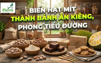 Cùng sống xanh số 148: Hạt mít thành bánh ăn kiêng