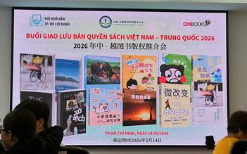 Đưa sách Việt ra thế giới: ‘Cần đầu tư nghiêm túc cho văn học dịch’