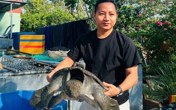 Chàng trai mát tay làm 'bà mụ' cho cua đinh, bán gần 500 con giống/năm
