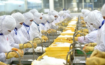 Xuất khẩu tôm vào Mỹ lại gặp khó
