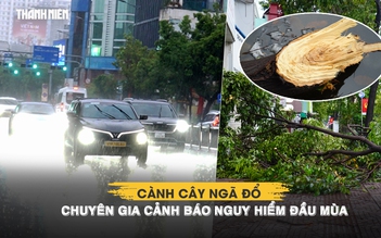 TP.HCM mưa lớn 2 ngày liên tiếp: Cành cây ngã đổ, chuyên gia cảnh báo nguy hiểm đầu mùa