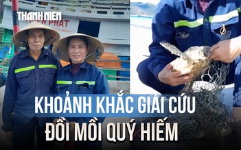 Khoảnh khắc giải cứu đồi mồi quý hiếm ở Côn Đảo