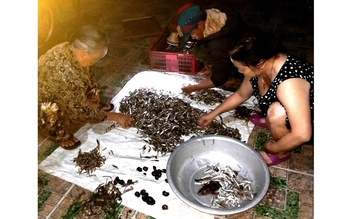 Nghề rim cá bống trứ danh hồ Lắk