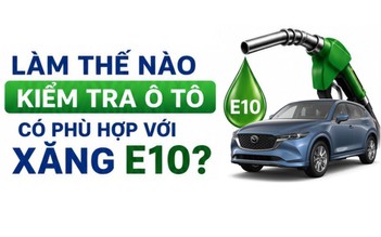 Làm thế nào kiểm tra ô tô có 'hợp' với xăng E10?
