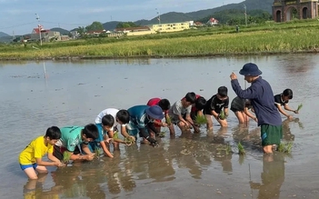 Hè này cho con học gì?: Độc đáo lớp cấy lúa, bắt ốc cho 'khối nghỉ hè'