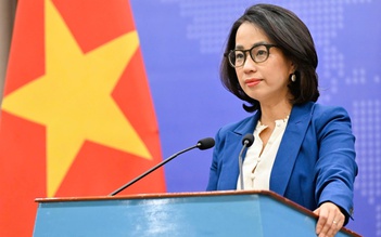 Việt Nam sẵn sàng tham vấn với Mỹ về việc điều tra sở hữu trí tuệ