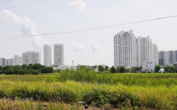 Chuyển nhượng dự án vẫn tắc
