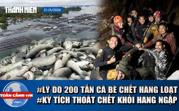 Toàn cảnh 17h: Điêu đứng 200 tấn cá chết ở hồ Trị An | Nhóm tìm vàng sống sót kỳ lạ sau 10 ngày