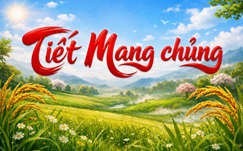 Lịch âm hôm nay 2.6: Thấy sao Tua Rua mọc, người Việt sắp đón tiết Mang chủng