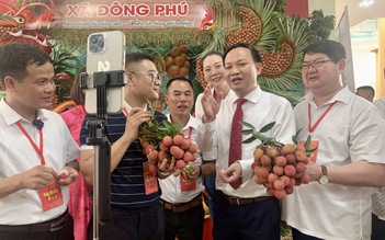 Giá vải 'nhảy múa', doanh nghiệp lo không đủ hàng xuất khẩu