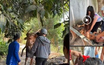 Đang làm tóc trong tiệm, nữ giảng viên đại học kịp thời cứu bé trai đuối nước
