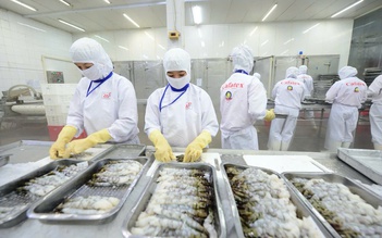 Xuất khẩu thủy sản có thể đạt kim ngạch 12 tỉ USD trong năm nay
