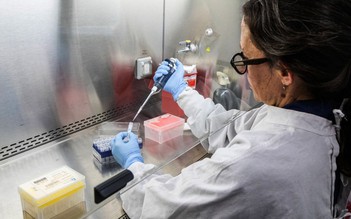 3 tiểu bang Mỹ theo dõi người về từ du thuyền có dịch virus hanta