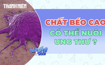 Giảm chất béo có thể 'bỏ đói' tế bào ung thư vú?