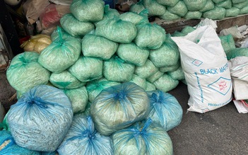 Bắt 3 lò sản xuất hơn 1.000 tấn giá đỗ ngậm hóa chất cấm