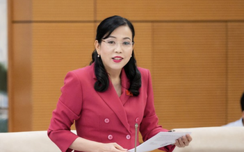 Chủ nhiệm ủy ban của Quốc hội lên tiếng về vụ 'sở hữu kỳ nghỉ'