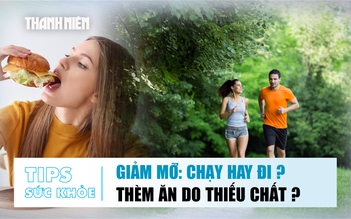 Bản tin sức khỏe 12.6: Chạy bộ hay đi bộ giảm mỡ bụng? | Vì sao có lúc thèm ăn liên tục?