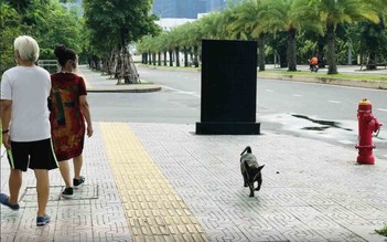 Đừng bắt cộng đồng chịu đựng tình trạng nuôi chó vô ý thức