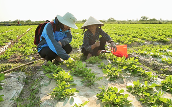 Quảng Trị tìm giải pháp thích ứng khí hậu từ những người chịu tác động trực tiếp