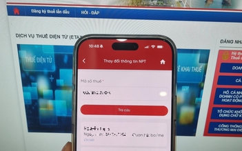 Xử lý thế nào khi sai thông tin người phụ thuộc trên eTax Mobile?