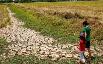 Tin tức đặc biệt trên báo in Thanh Niên 16.6.2026
