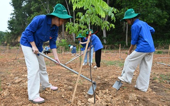 Cấp bách chống sa mạc hóa