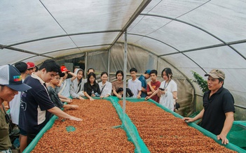 Làm du lịch từ những điều khác biệt: Kể chuyện Khe Sanh bằng cà phê