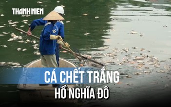 Hà Nội: Cá chết hàng loạt tại hồ điều hòa công viên Nghĩa Đô