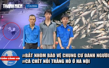 Toàn cảnh 17h: Bắt khẩn cấp nhóm bảo vệ đánh người ở chung cư | Lý do cá chết trắng hồ ở Hà Nội