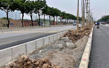 Chủ đầu tư nói gì khi trồng cây trên nền đá dăm ở đường Võ Chí Công?